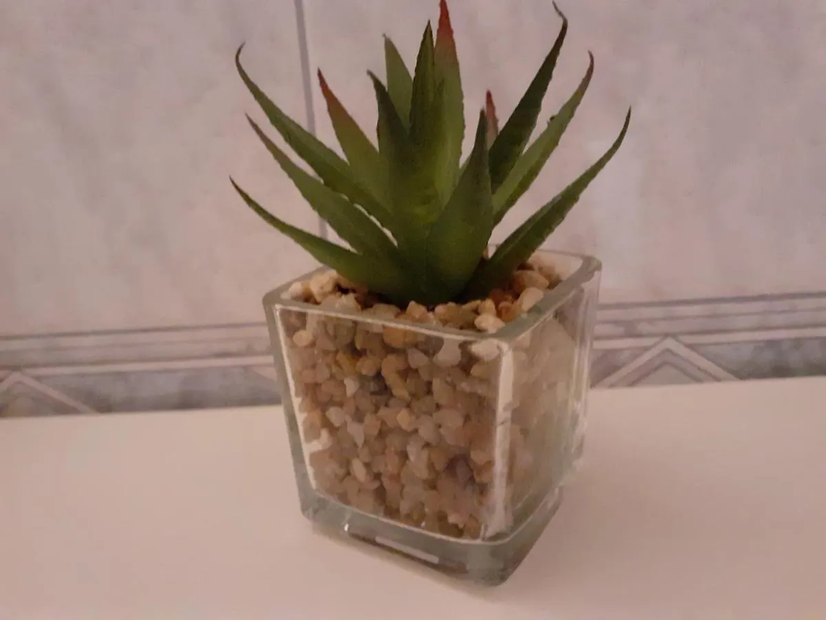 Apartment Siesta Split Croatia